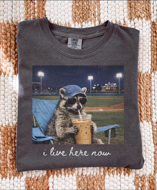 I Live Here Now- Baseball | Comfort Color Tee- Pepper