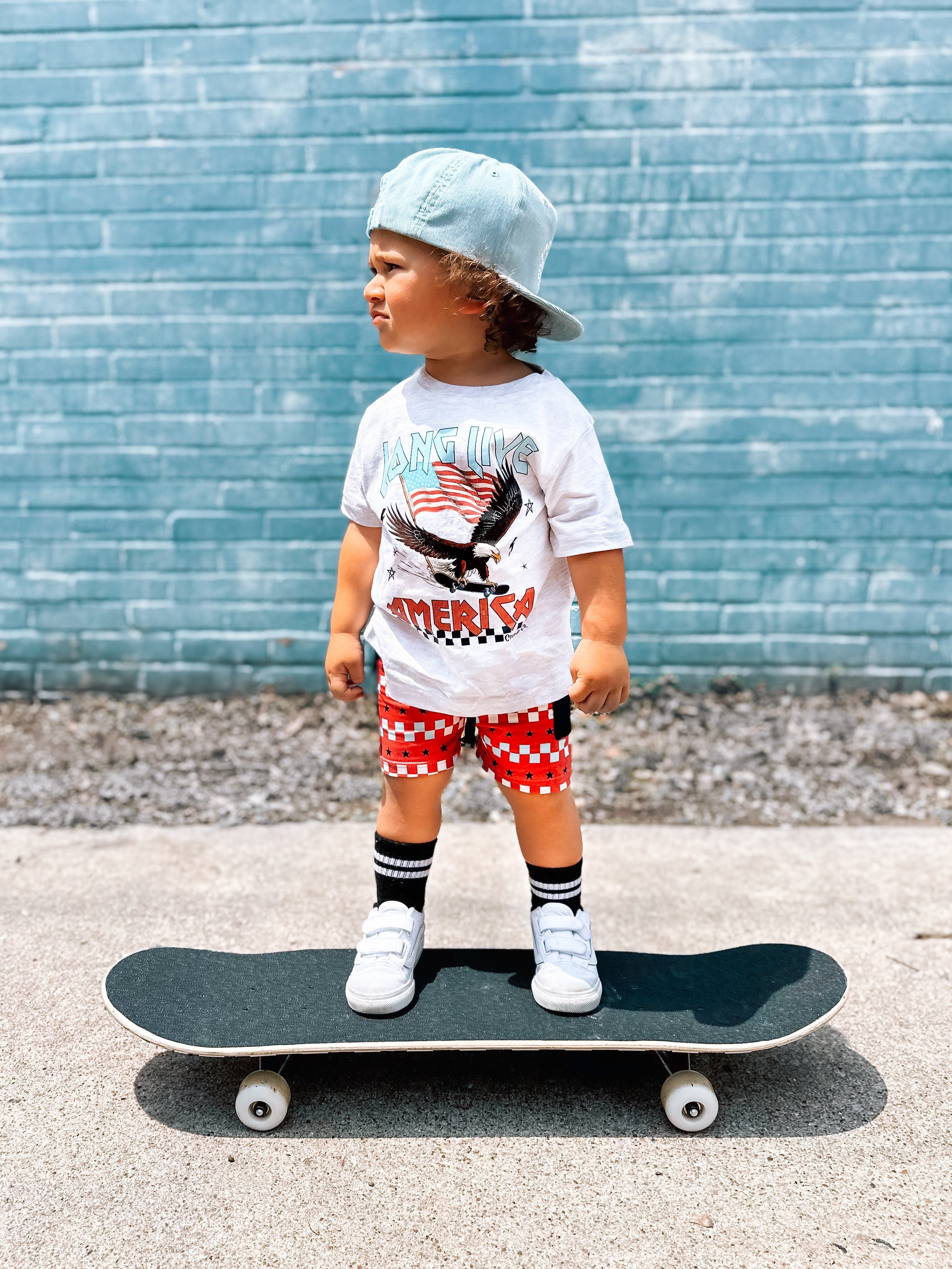 Long Live America | Ash Grey Graphic T-Shirt